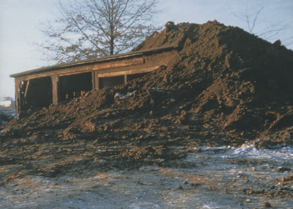 Earthworks. Art and the Landscape of the Sixties